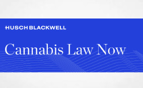 Is Alcohol-Style Federal Regulation Coming for THC Beverages?